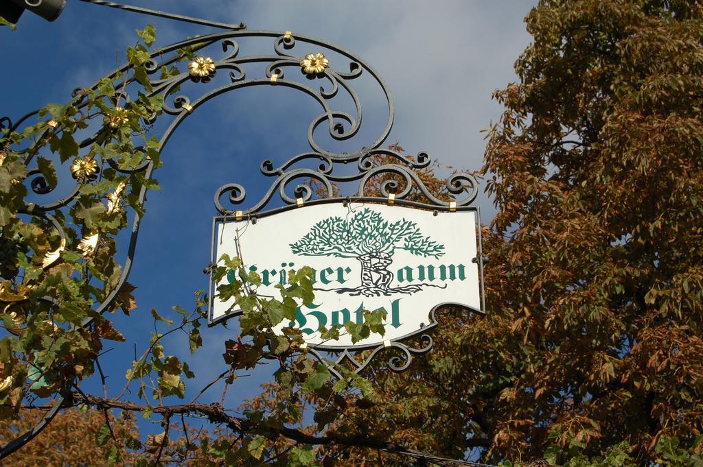 Bretzenheim Hotel Gruener Baum מראה חיצוני תמונה